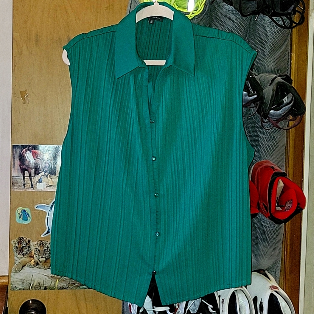 NWOT Women's blouse